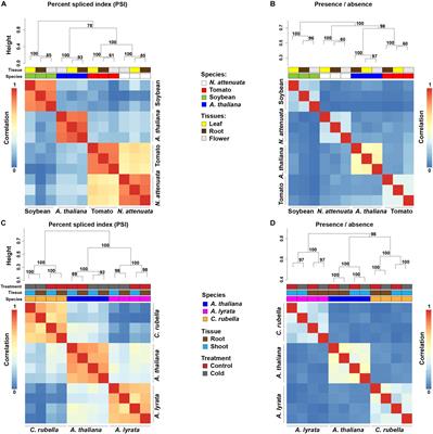 Evolution of Alternative Splicing in Eudicots